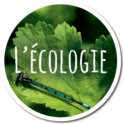 4 piliers Echologia aquaponia ECOLOGIE