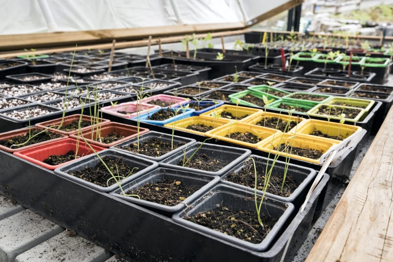 Les Ateliers Transitions Écologiques