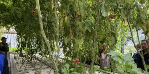 article-ici-echologia-aquaponia_2022.jpg